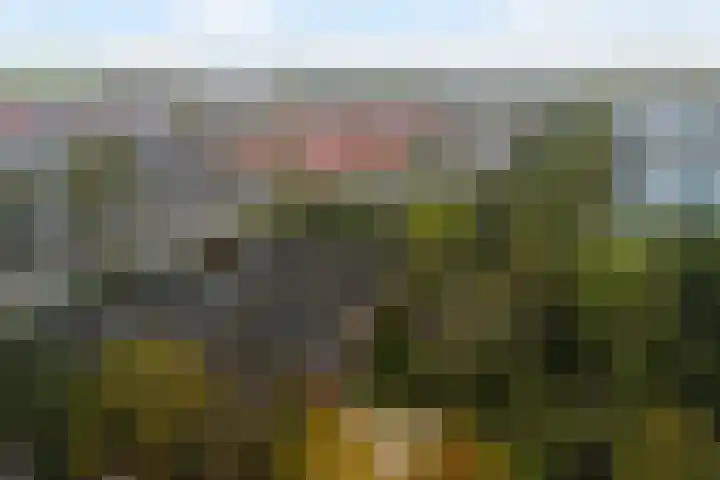Nassaulaan 28 Zoeterwoude thumbnail 66