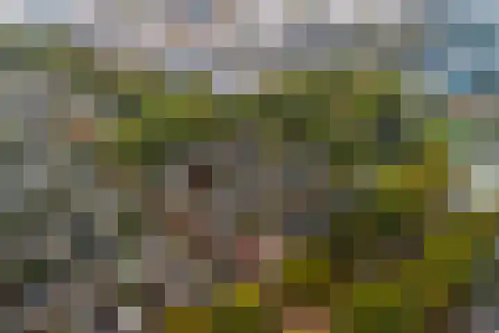 Nassaulaan 28 Zoeterwoude thumbnail 67