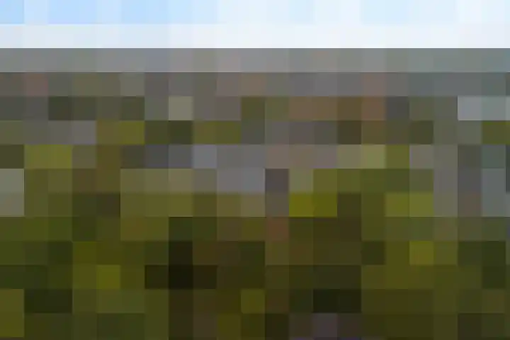 Nassaulaan 28 Zoeterwoude thumbnail 7