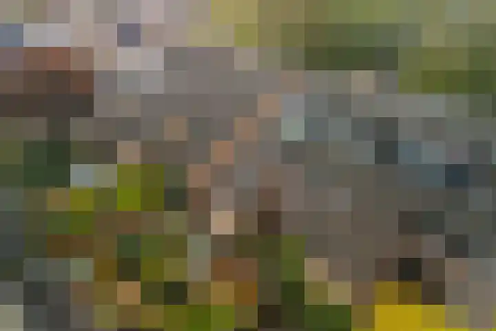 Nassaulaan 28 Zoeterwoude thumbnail 8
