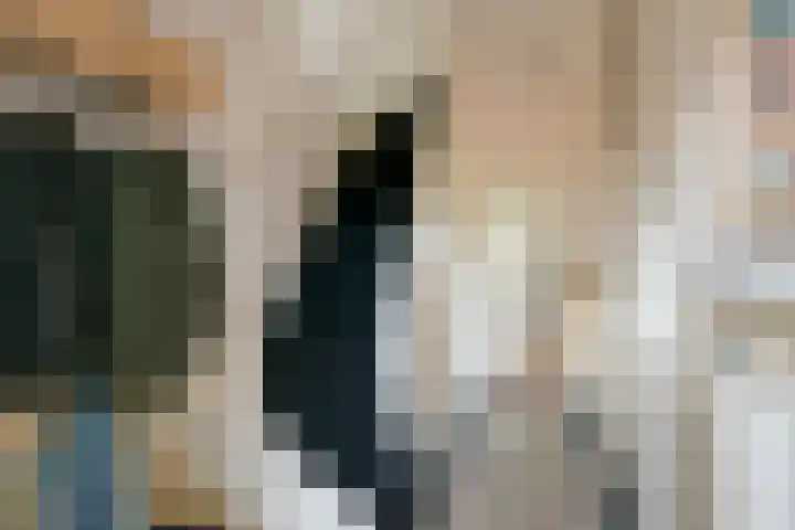 Nassaulaan 29 Oosterbeek thumbnail 21