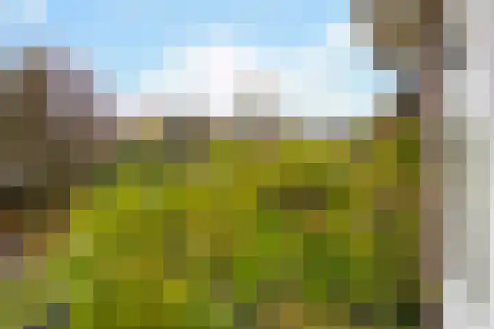 Nassaulaan 29 Oosterbeek thumbnail 26