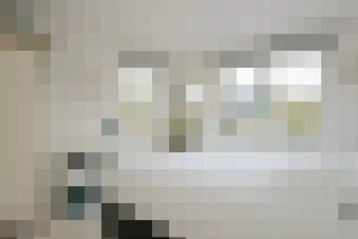 Nassaulaan 29 Oosterbeek thumbnail 30