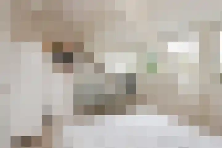 Nassaulaan 29 Oosterbeek thumbnail 43