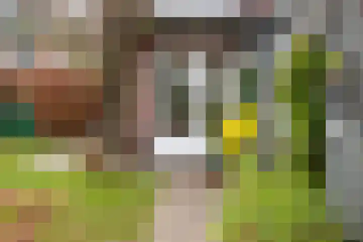 Nassaulaan 29 Oosterbeek thumbnail 45