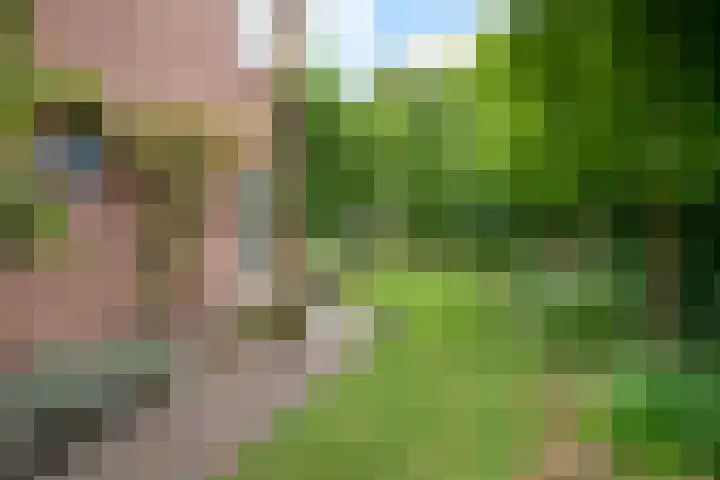 Nassaulaan 29 Oosterbeek thumbnail 47