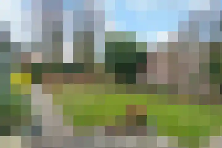Nassaulaan 29 Oosterbeek thumbnail 51