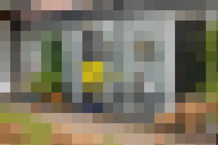 Nassaulaan 29 Oosterbeek thumbnail 56
