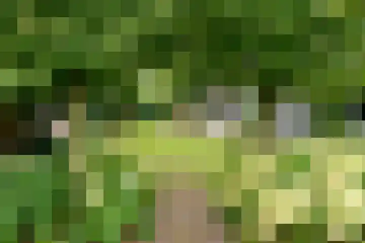 Nassaulaan 29 Oosterbeek thumbnail 59