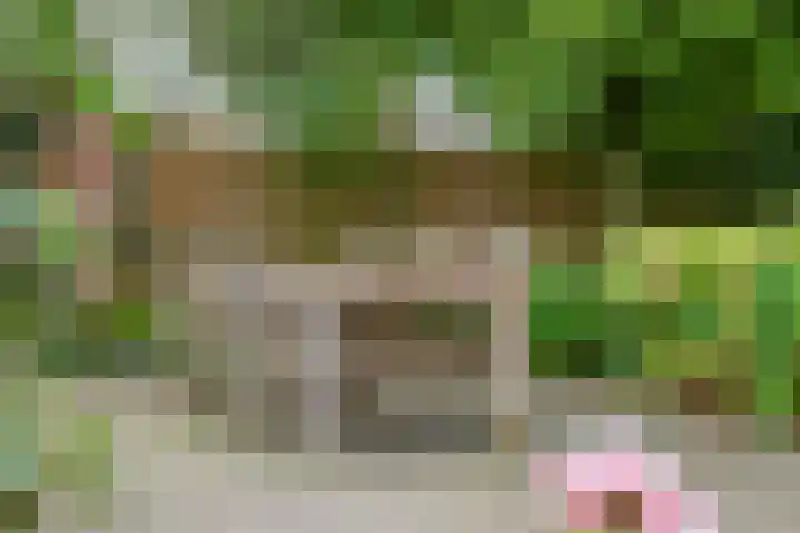 Nassaulaan 29 Oosterbeek thumbnail 60