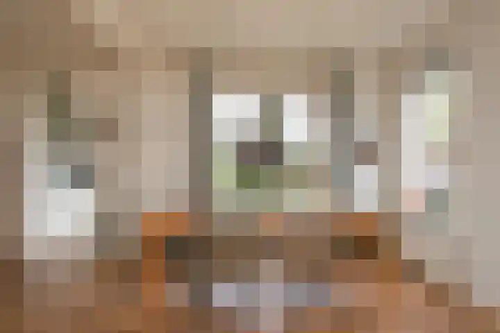 Nassaulaan 29 Oosterbeek thumbnail 8