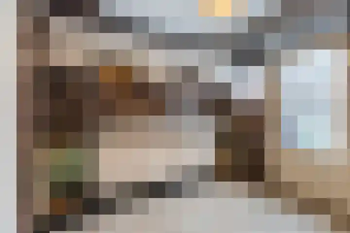 Nassaulaan 29 Rijen thumbnail 10