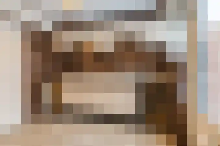 Nassaulaan 29 Rijen thumbnail 11