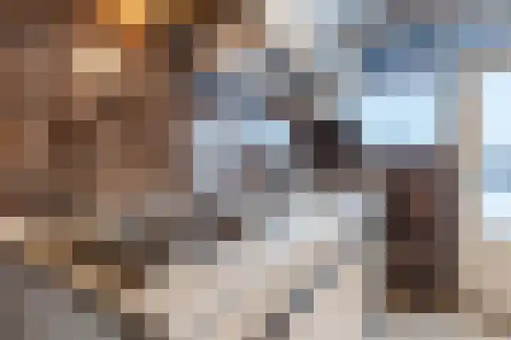 Nassaulaan 29 Rijen thumbnail 13