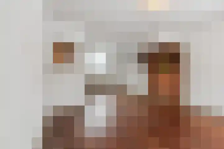 Nassaulaan 29 Rijen thumbnail 16