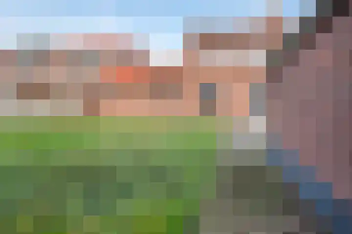 Nassaulaan 29 Rijen thumbnail 19
