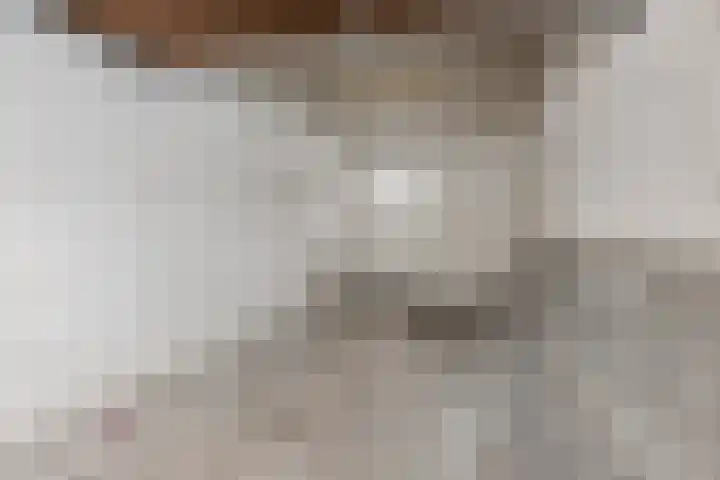 Nassaulaan 29 Rijen thumbnail 21