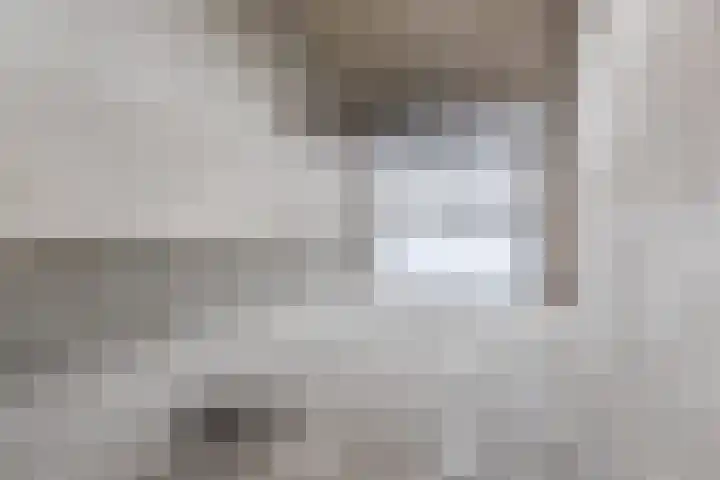Nassaulaan 29 Rijen thumbnail 22