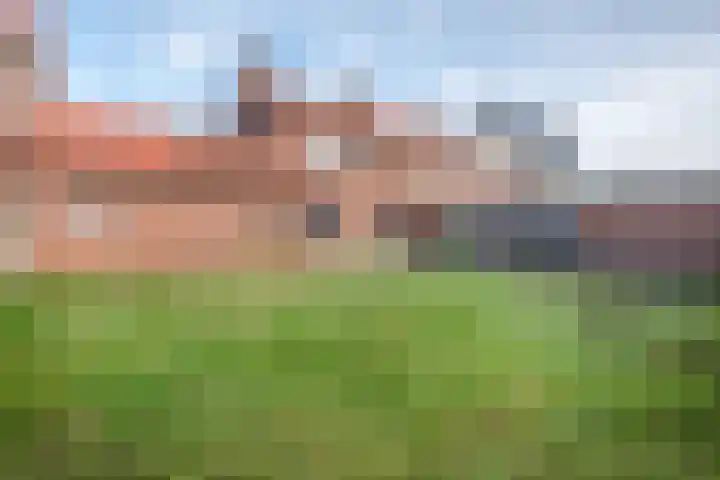 Nassaulaan 29 Rijen foto 3