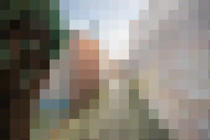 Nassaulaan 29 Rijen thumbnail 35