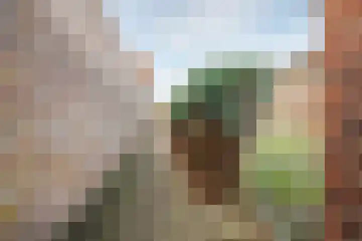 Nassaulaan 29 Rijen thumbnail 36