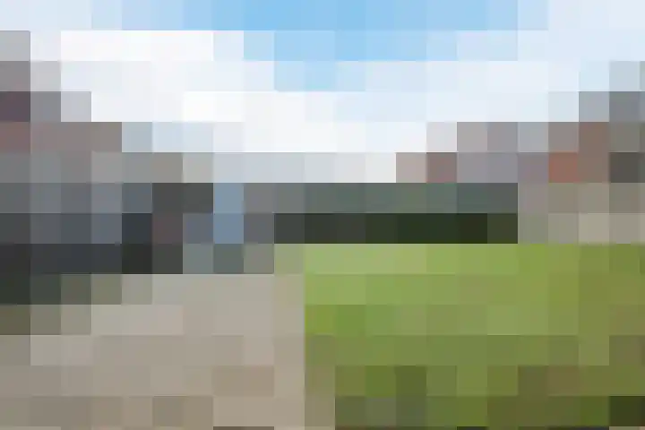 Nassaulaan 29 Rijen thumbnail 4
