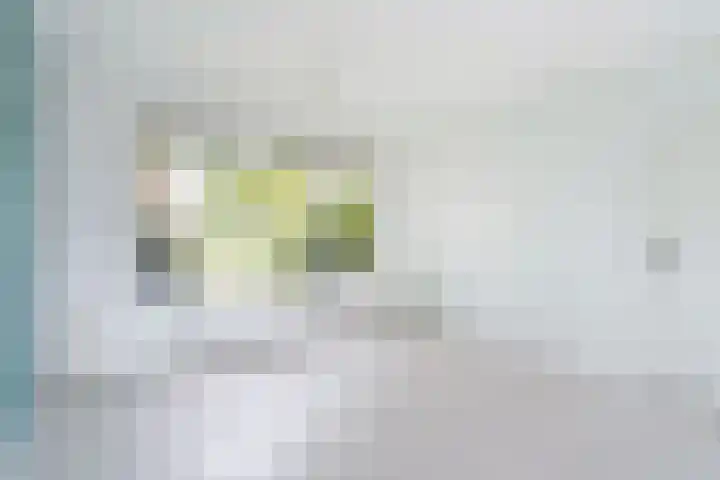 Nassaulaan 29 Weert thumbnail 10