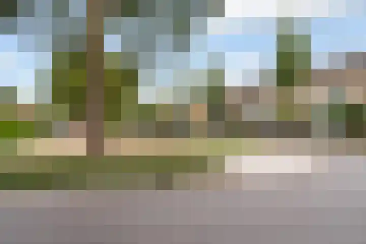 Nassaulaan 29 Weert thumbnail 39