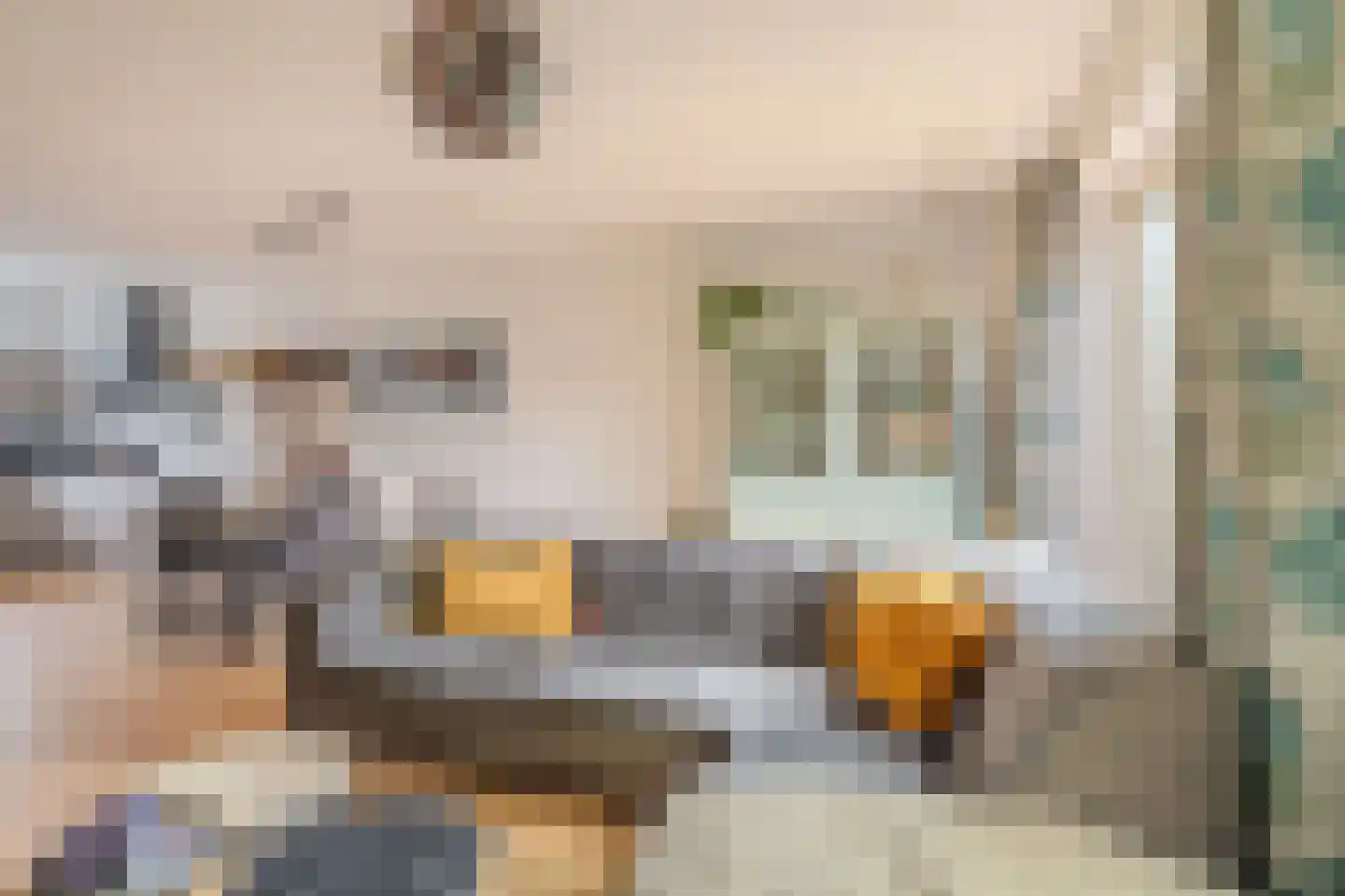 Nassaulaan 3 A Heiligerlee thumbnail 19