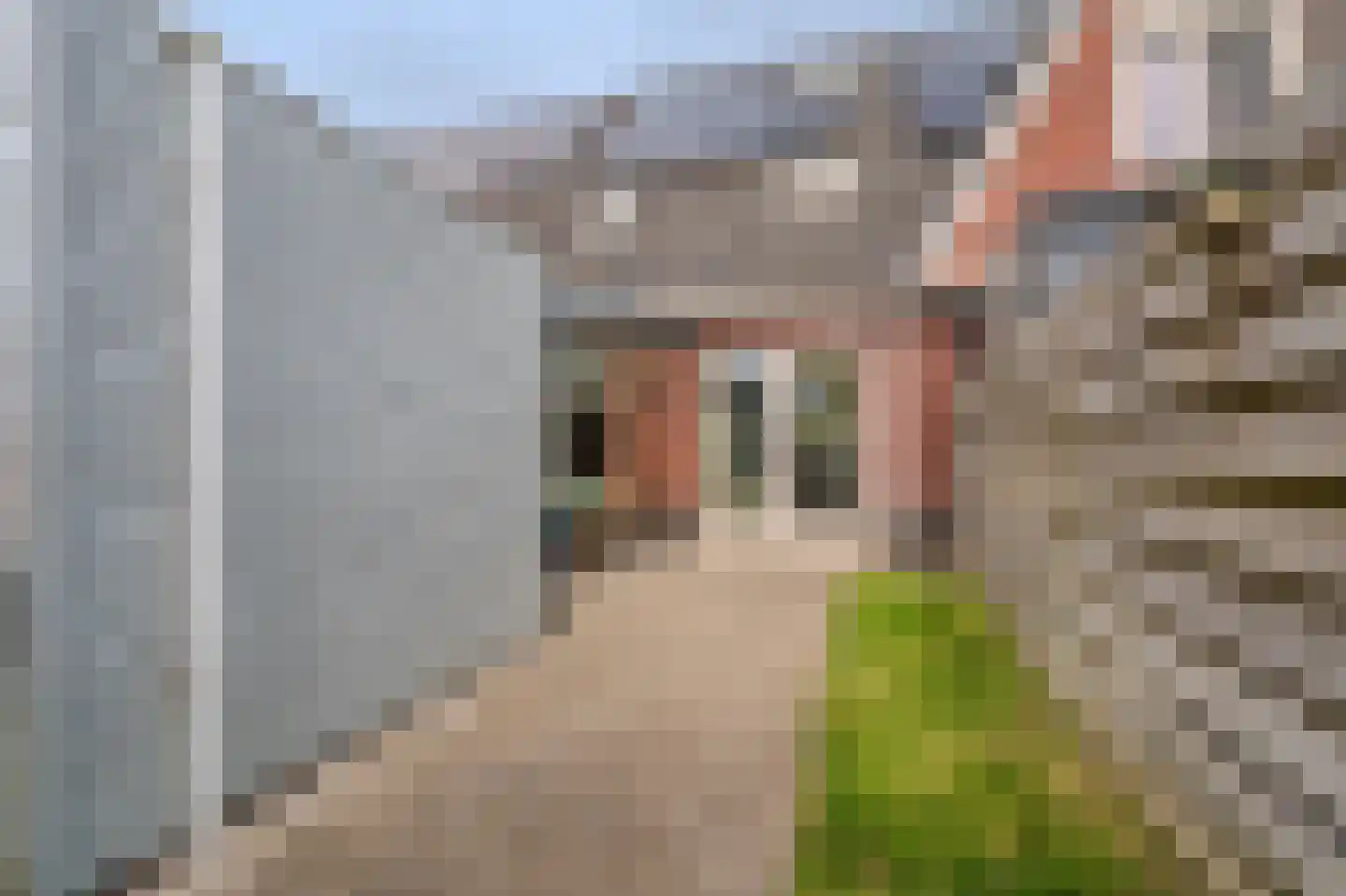 Nassaulaan 3 A Heiligerlee thumbnail 36