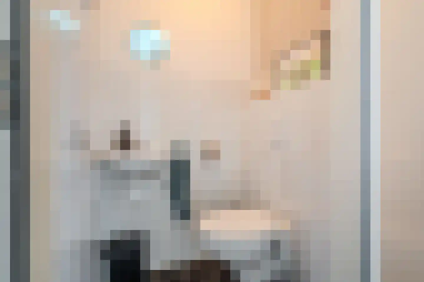 Nassaulaan 3 A Heiligerlee thumbnail 8