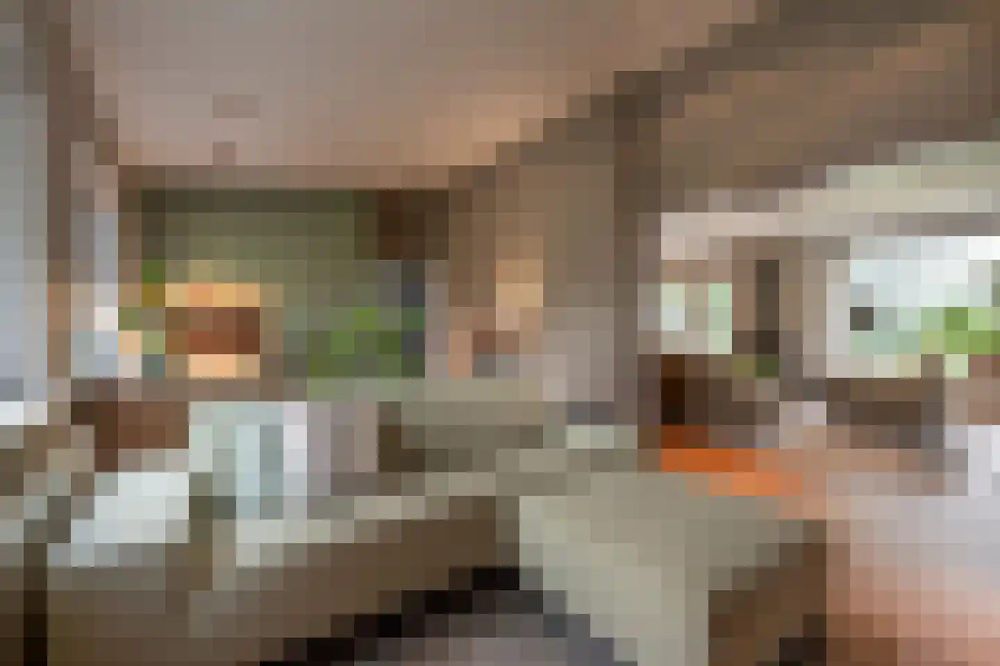 Nassaulaan 3 Puttershoek thumbnail 14