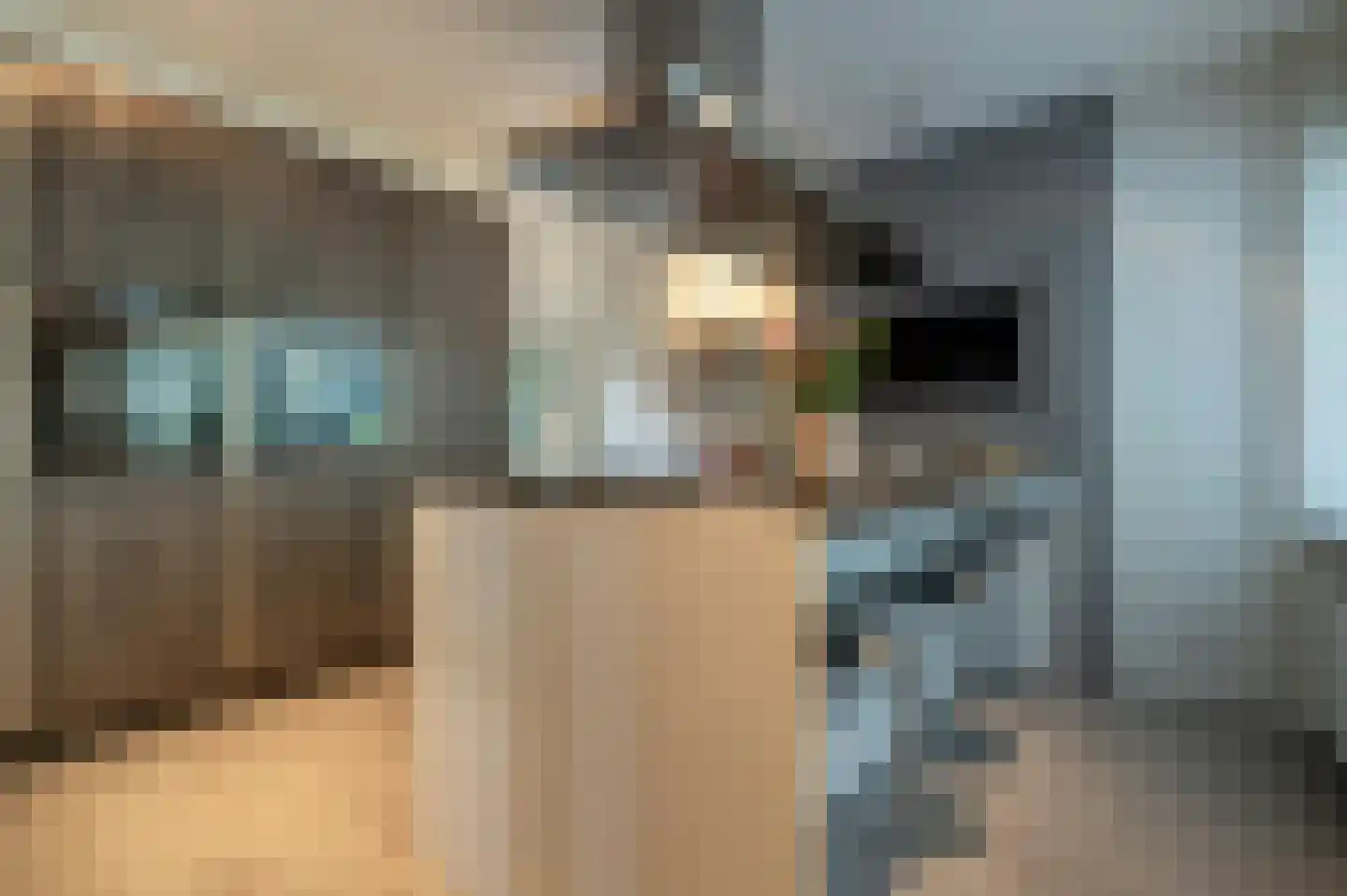 Nassaulaan 3 Puttershoek thumbnail 23