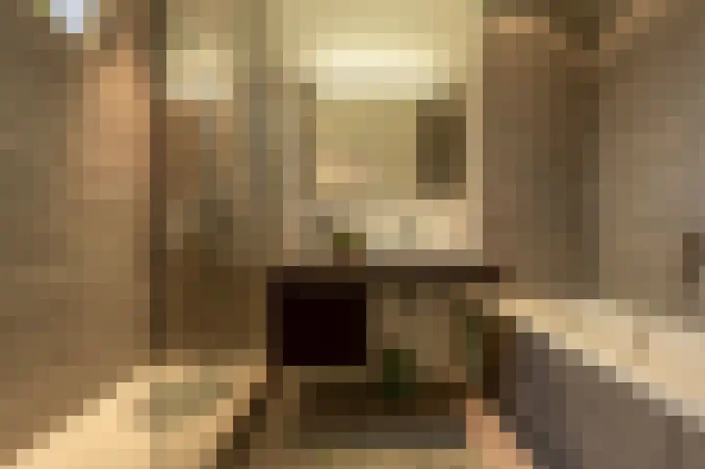 Nassaulaan 3 Puttershoek thumbnail 37