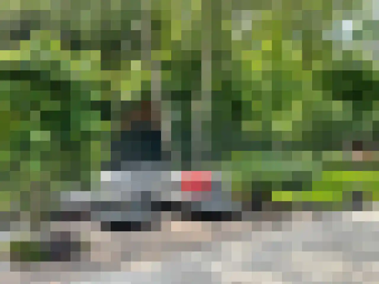Nassaulaan 3 Puttershoek thumbnail 61