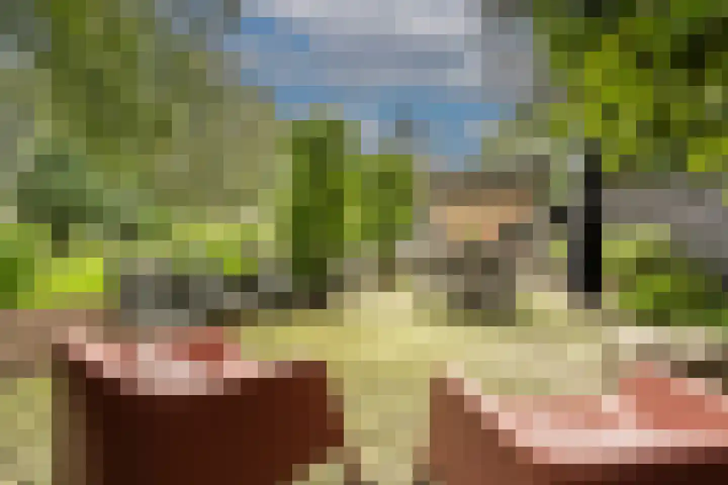 Nassaulaan 3 Puttershoek thumbnail 64