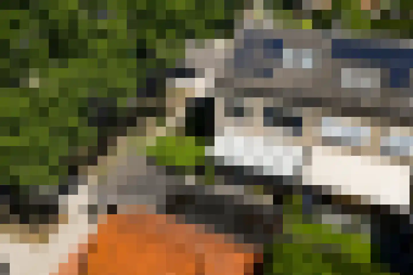 Nassaulaan 30 Weert thumbnail 35