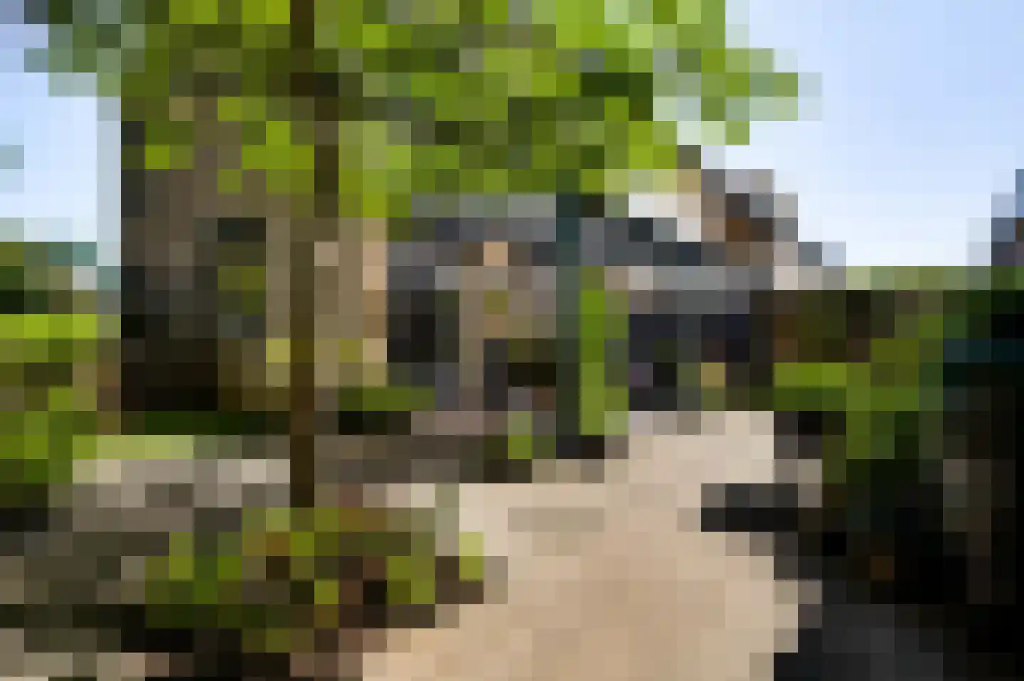 Nassaulaan 30 Weert thumbnail 39