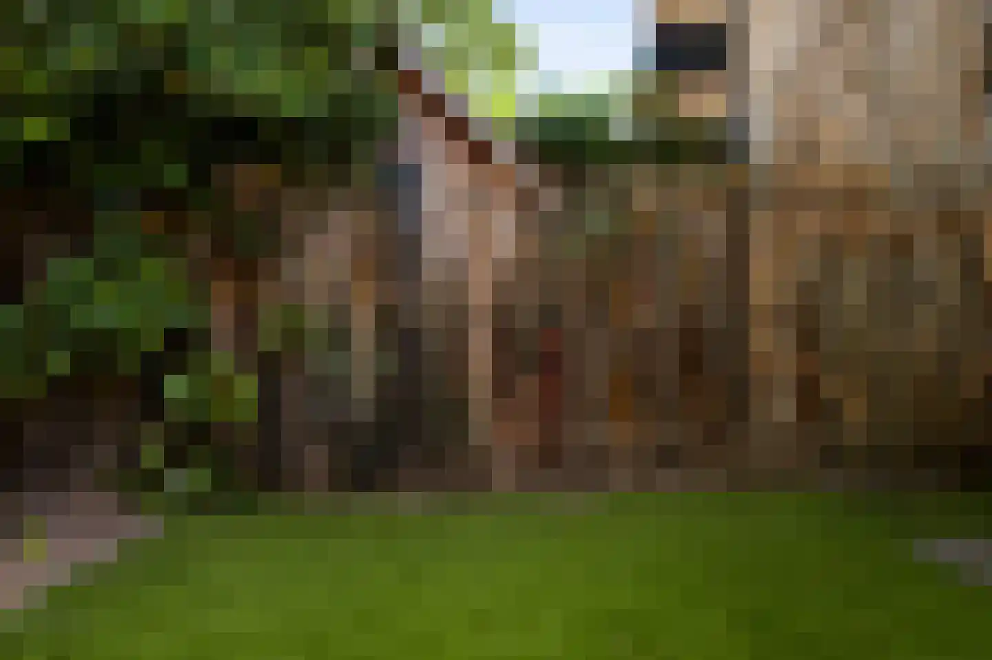 Nassaulaan 30 Weert thumbnail 40