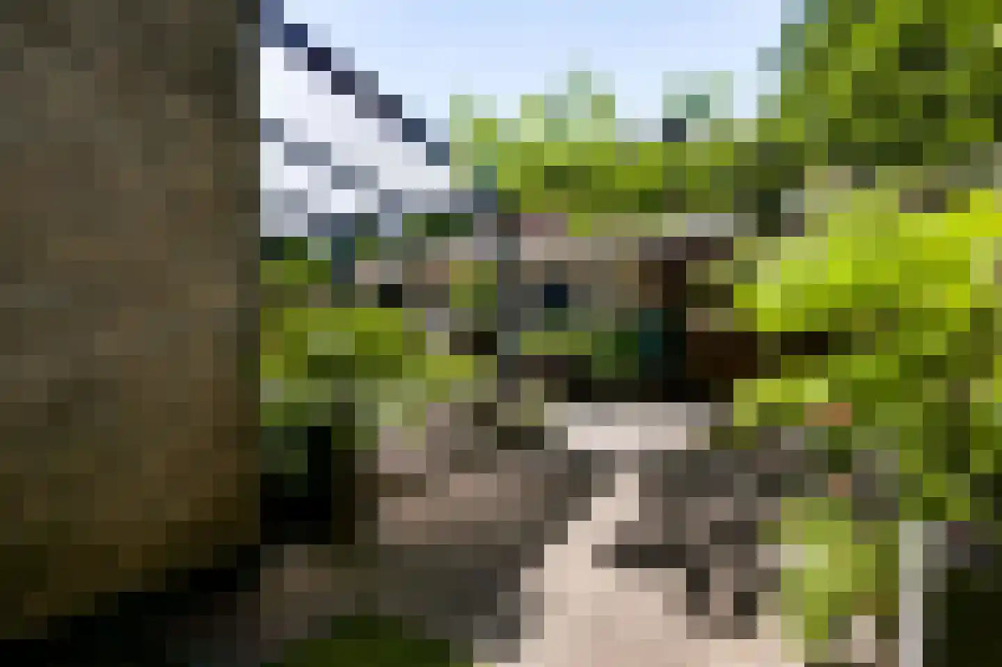 Nassaulaan 30 Weert thumbnail 41