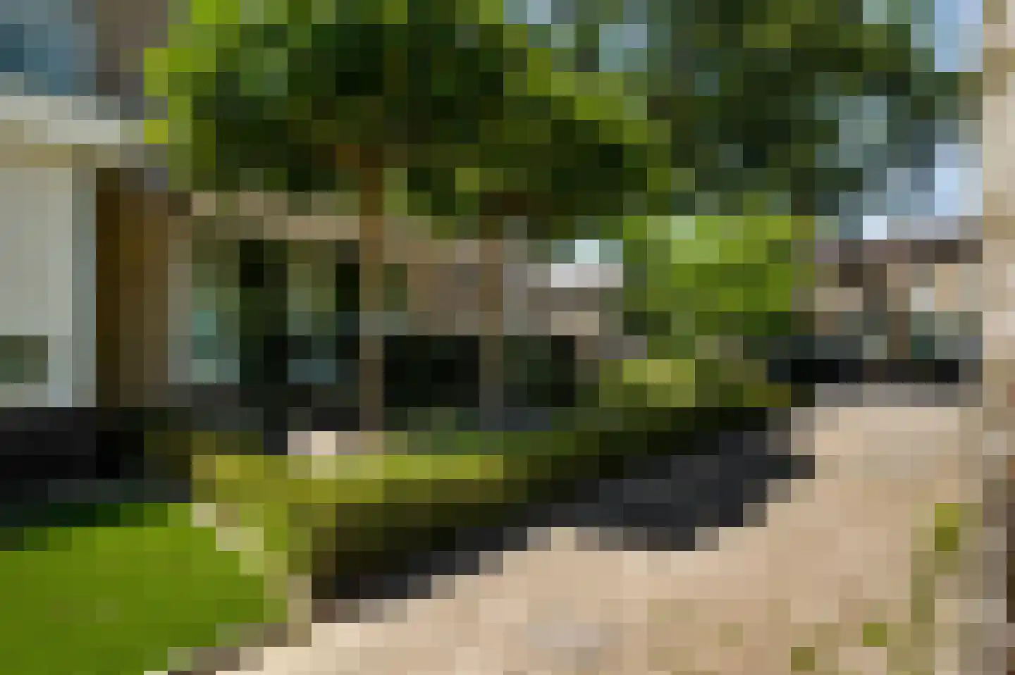 Nassaulaan 30 Weert thumbnail 52