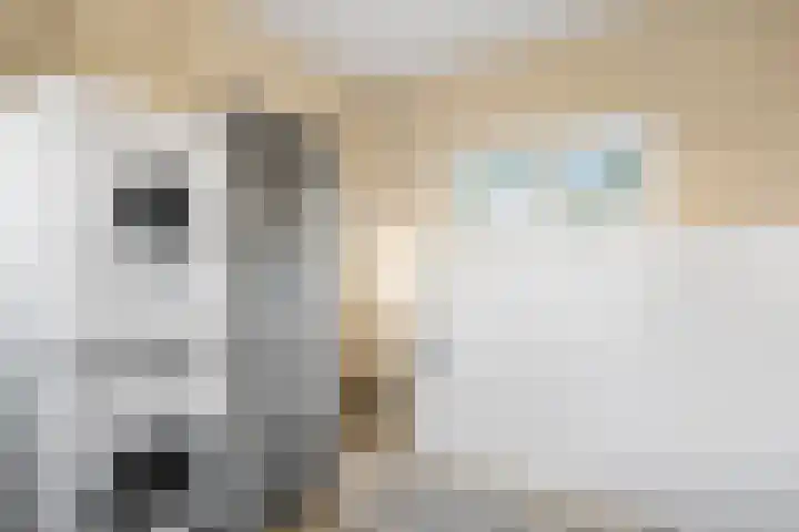 Nassaulaan 31 Bennekom thumbnail 12