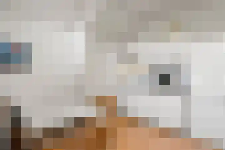 Nassaulaan 31 Bennekom thumbnail 45