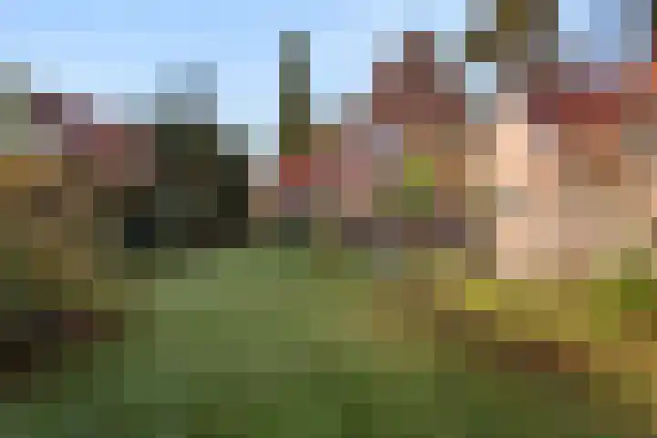 Nassaulaan 31 Bennekom thumbnail 9