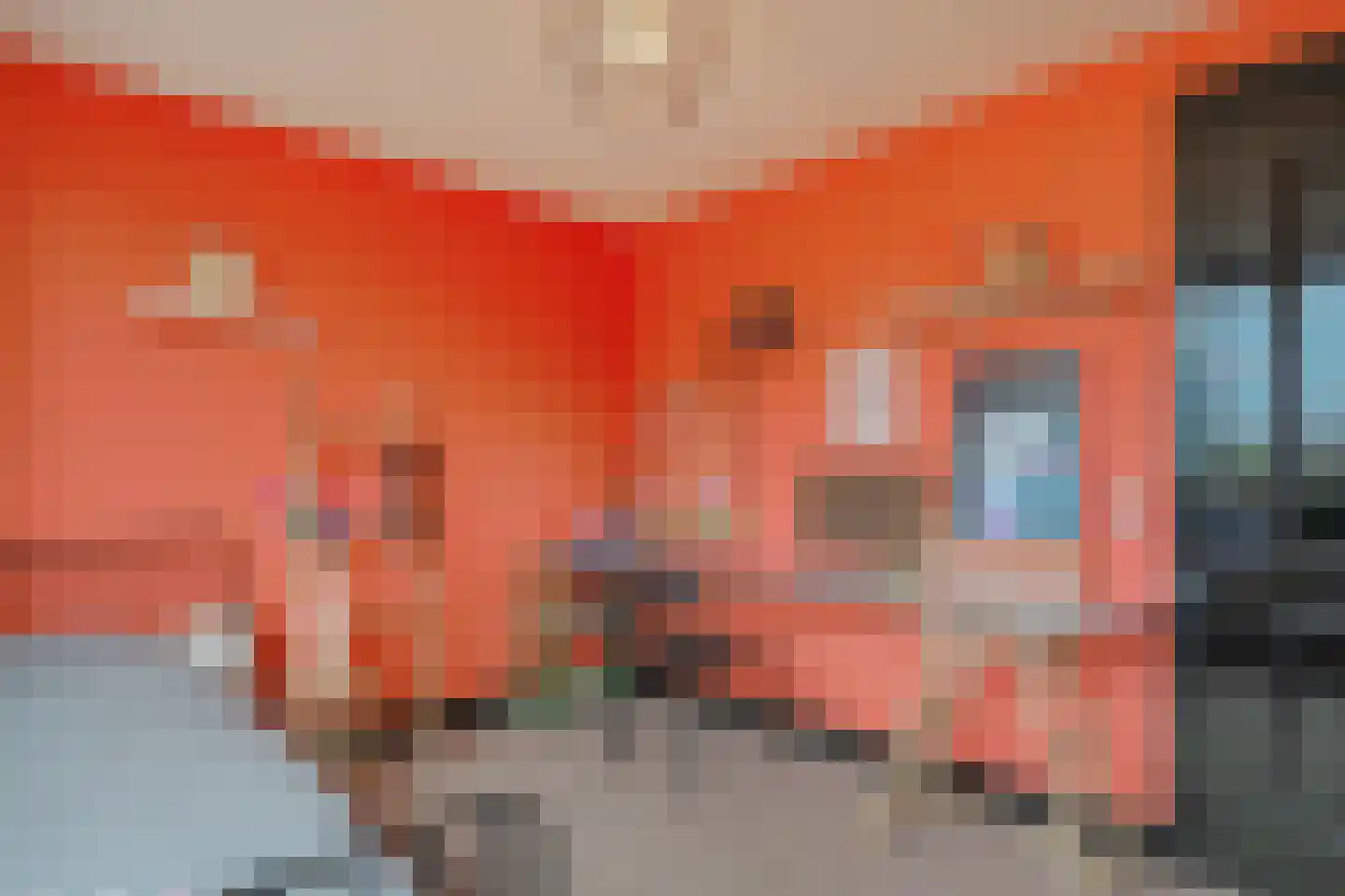 Nassaulaan 31 Hoevelaken thumbnail 19