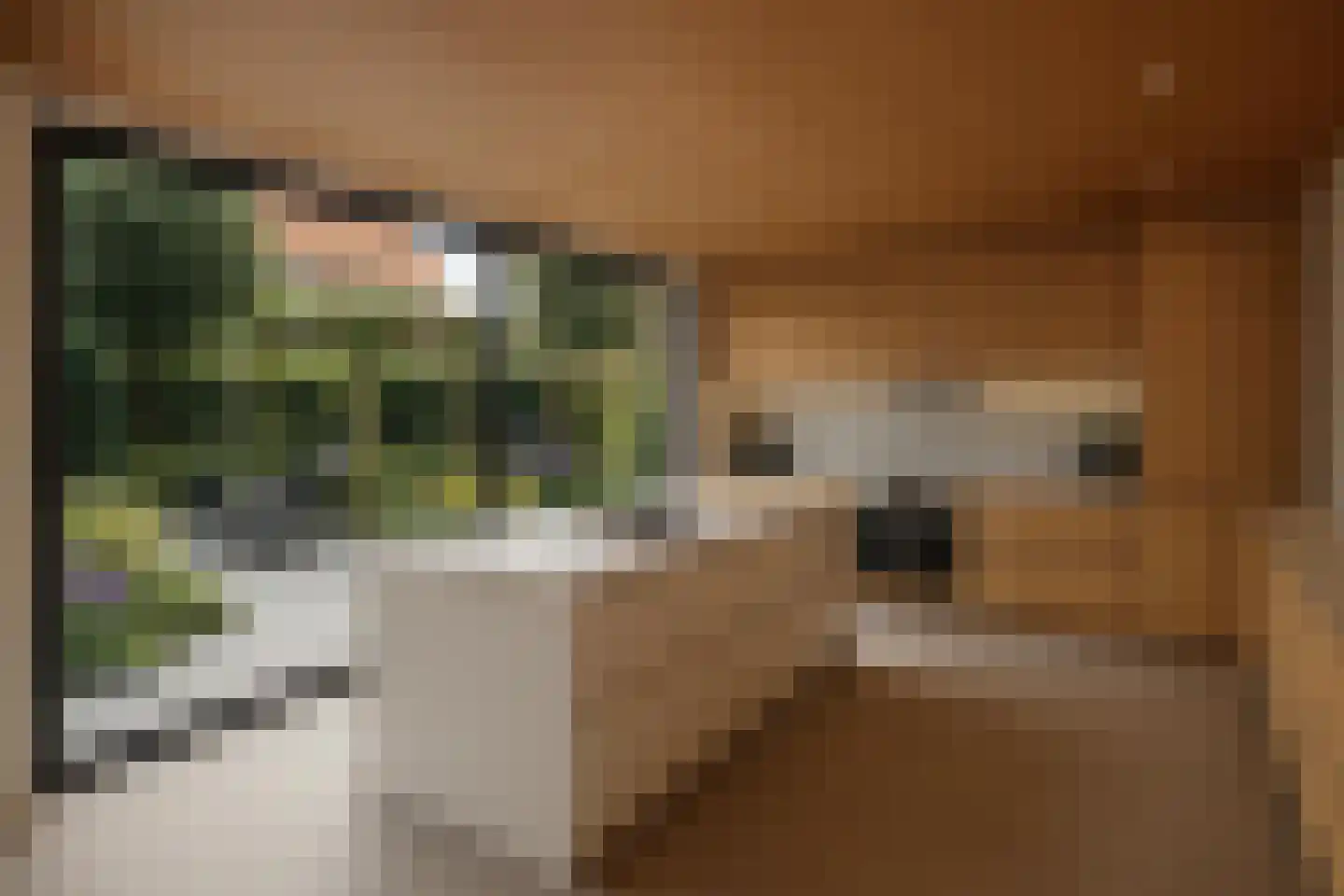 Nassaulaan 32 Alkmaar thumbnail 16