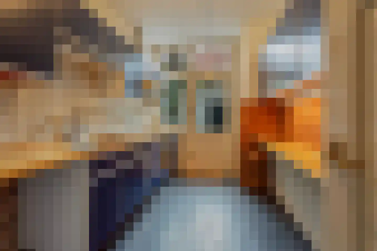 Nassaulaan 32 Alkmaar thumbnail 17