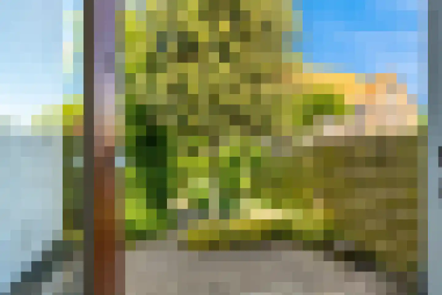 Nassaulaan 32 Alkmaar thumbnail 19