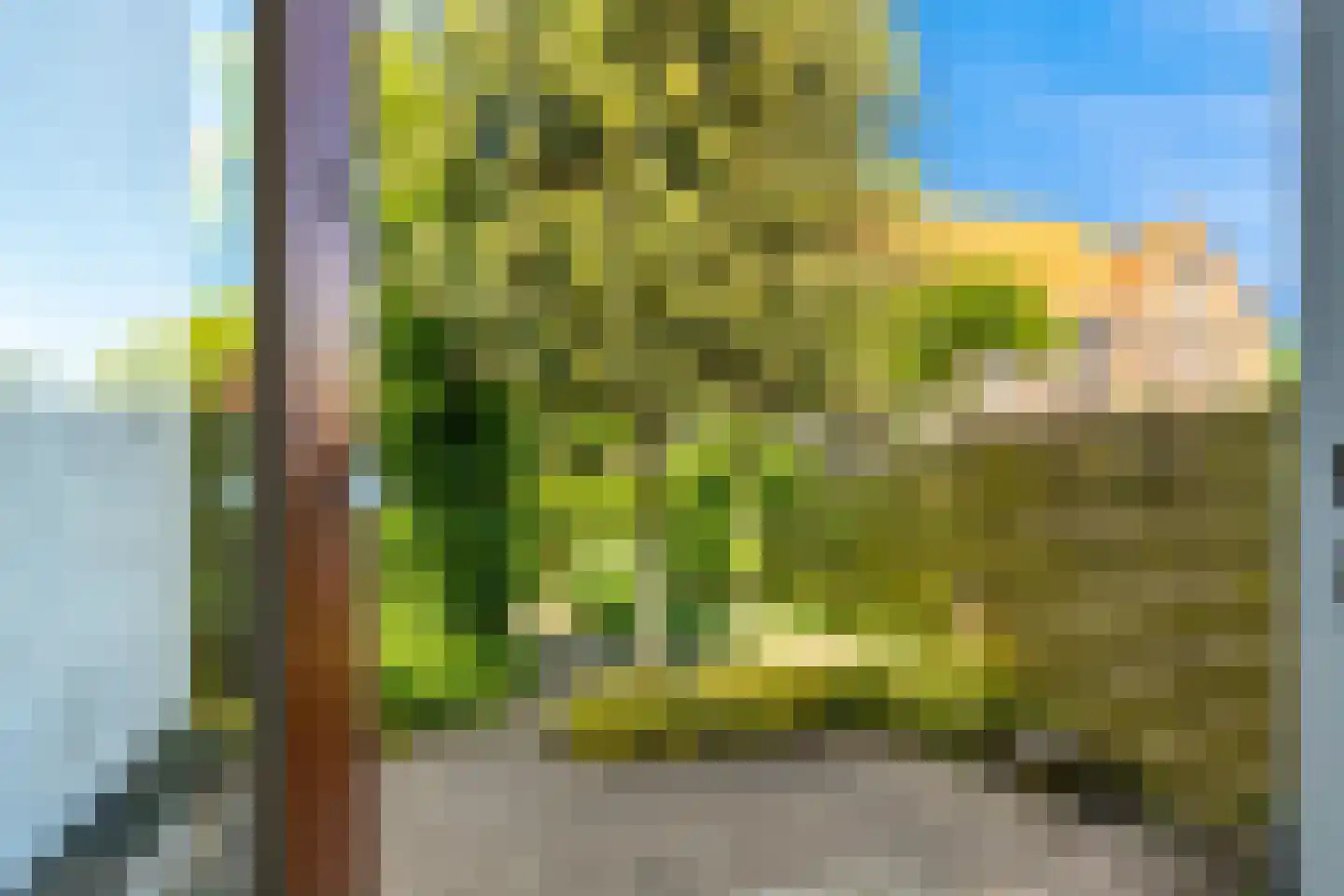 Nassaulaan 32 Alkmaar thumbnail 19