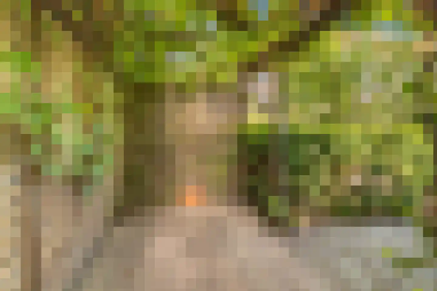 Nassaulaan 32 Alkmaar thumbnail 24